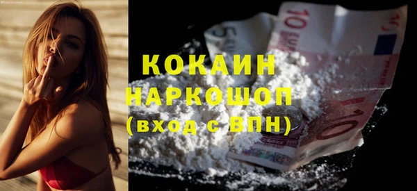 apvp Алексин