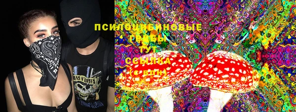 молекула духа Алексеевка