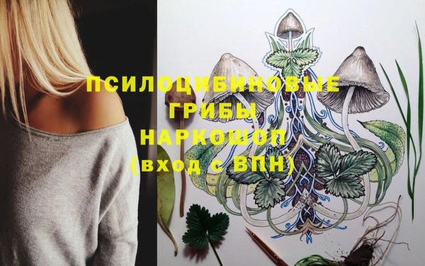молекула духа Алексеевка