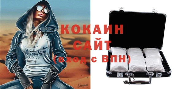 apvp Алексин