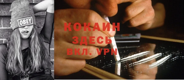 apvp Алексин