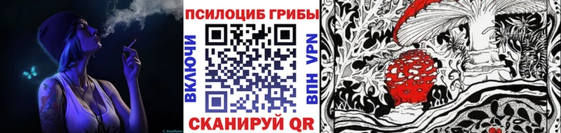 как найти наркотики  Алупка  Галлюциногенные грибы MAGIC MUSHROOMS 